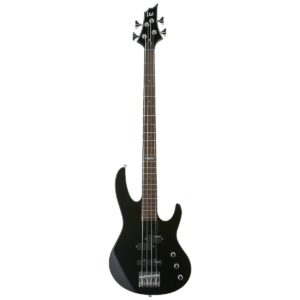 ESP LTD B Series B50BLK Electric Bass Guitar, Fretless, Black